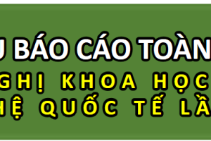 Mẫu Báo cáo Toàn văn- Hội nghị Khoa học Công nghệ Quốc tế Lần 7- 2025
