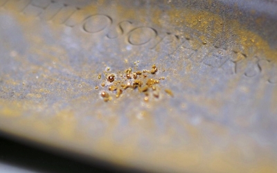Researchers Discover Bacteria That Produces Pure Gold